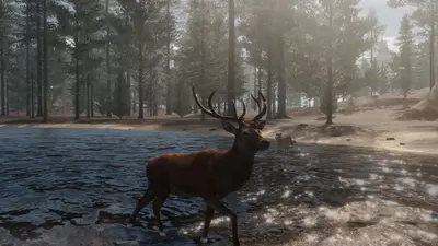 The WILDS screenshot 5