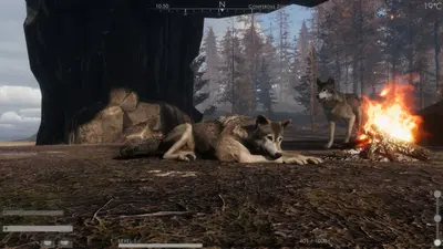 The WILDS screenshot 4