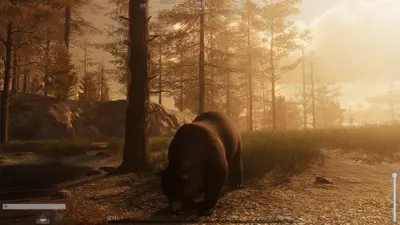 The WILDS screenshot 1