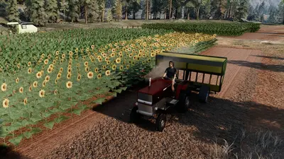 Ranch Simulator — строительство, фермерство, охота screenshot 2