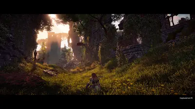 Horizon Zero Dawn™ Complete Edition screenshot 4