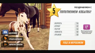 Rival Stars Horse Racing: Desktop Edition screenshot 4