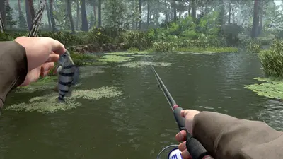 Professional Fishing 2 screenshot 4
