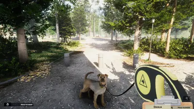 Animal Shelter screenshot 0