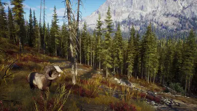 Way of the Hunter screenshot 12
