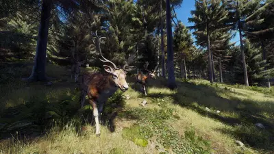 Way of the Hunter screenshot 21