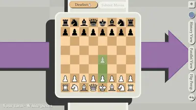 5D Chess With Multiverse Time Travel screenshot 3