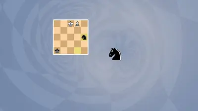 5D Chess With Multiverse Time Travel screenshot 2