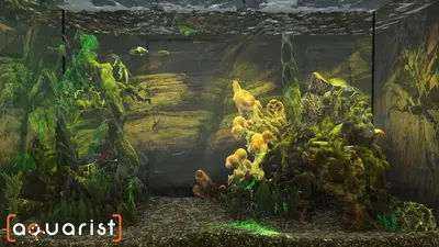Aquarist - стройте аквариумы, разводите рыбу, развивайте свой бизнес. screenshot 8