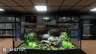 Aquarist - стройте аквариумы, разводите рыбу, развивайте свой бизнес. screenshot 0