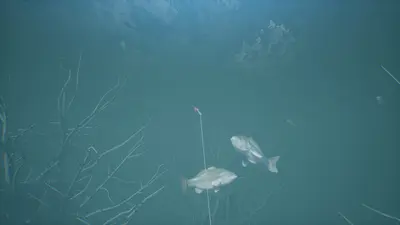 Bassmaster® Fishing screenshot 7