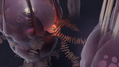 COCOON screenshot 2