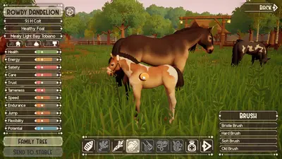 The Ranch of Rivershine screenshot 16