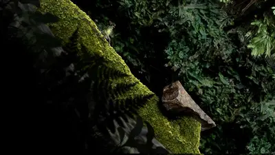 Seedlings screenshot 3