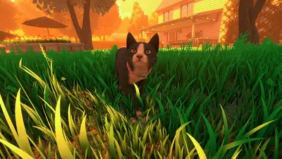 Copycat screenshot 7