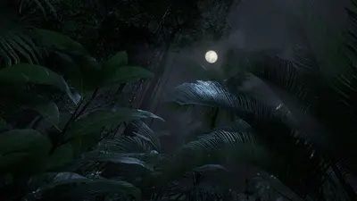 Green Hell VR screenshot 5