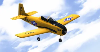 RealFlight Evolution screenshot 6