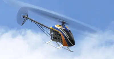 RealFlight Evolution screenshot 13
