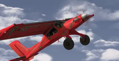 RealFlight Evolution screenshot 8