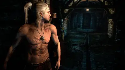 The Witcher 2: Assassins of Kings Enhanced Edition screenshot 10