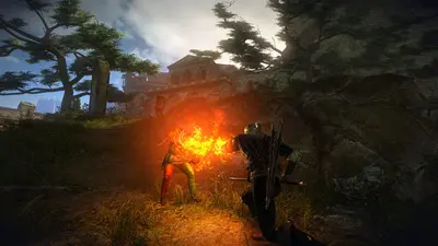 The Witcher 2: Assassins of Kings Enhanced Edition screenshot 19