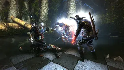The Witcher 2: Assassins of Kings Enhanced Edition screenshot 14