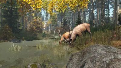 DayZ screenshot 5