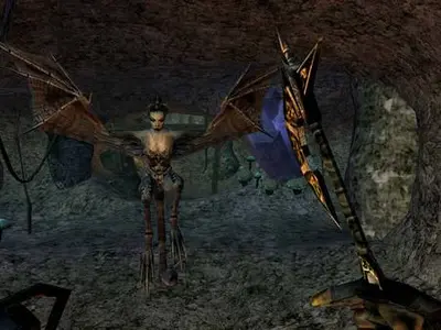 The Elder Scrolls III: Morrowind® Game of the Year Edition screenshot 5