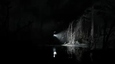 Silver Pines screenshot 7