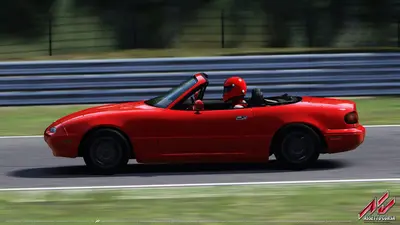 Assetto Corsa screenshot 30