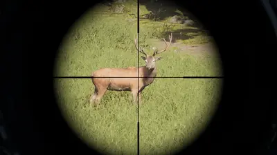 Project Hunt screenshot 2