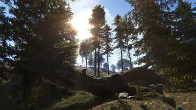 Rust screenshot 21