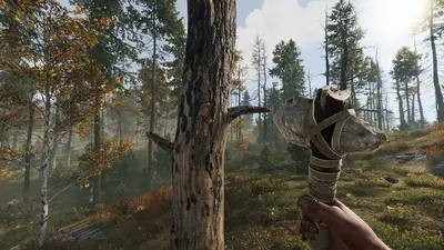 Rust screenshot 8
