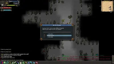 Tales of Maj'Eyal screenshot 6
