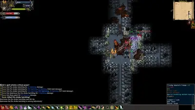 Tales of Maj'Eyal screenshot 5