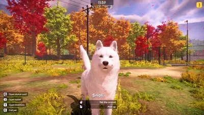Animal Shelter 2 screenshot 11