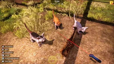 Animal Shelter 2 screenshot 8