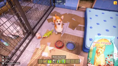 Animal Shelter 2 screenshot 2