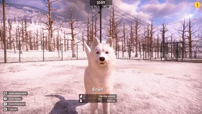 Animal Shelter 2 screenshot 15