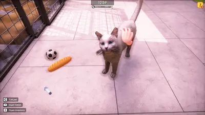 Animal Shelter 2 screenshot 1