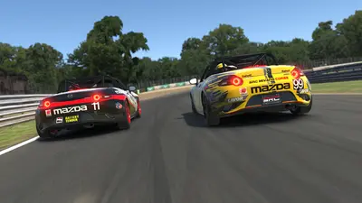 iRacing screenshot 9