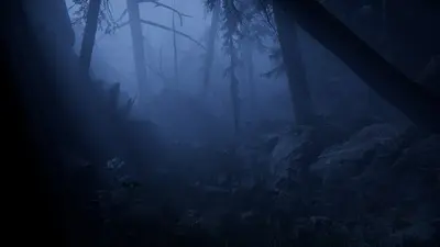 Together After Dark screenshot 11