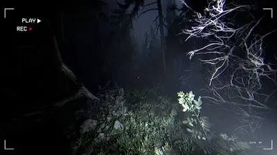 Together After Dark screenshot 3