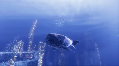 Depth screenshot 7