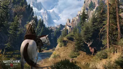 Ведьмак 3: Дикая Охота screenshot 16
