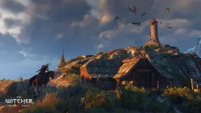 Ведьмак 3: Дикая Охота screenshot 13