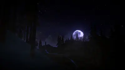 The Long Dark screenshot 10