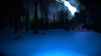 The Long Dark screenshot 19