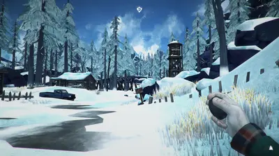 The Long Dark screenshot 18