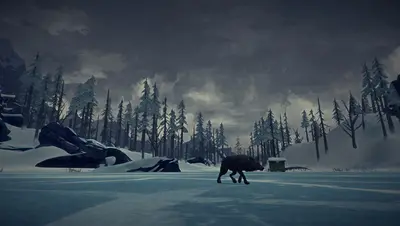The Long Dark screenshot 12
